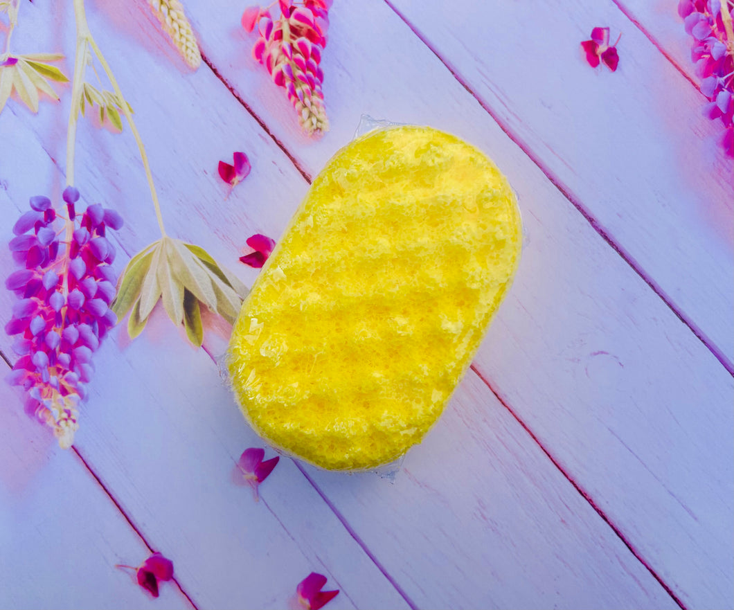 Large Love On The Beach Soap Sponge – Its The Bomb