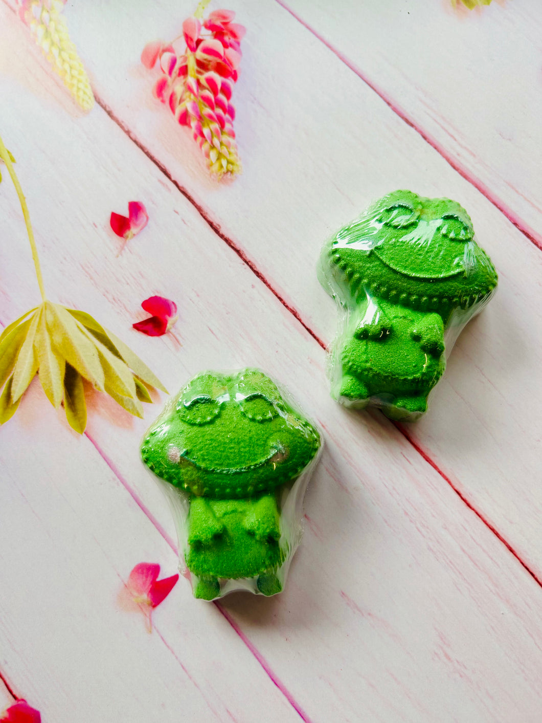 Mr Frog Bath Bomb